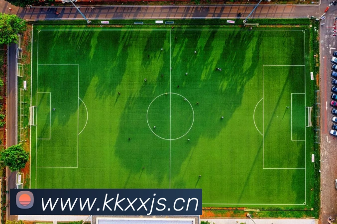 爱游戏ayx平台登录APP 封面图